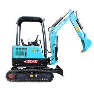 RAY&YG20-9G Mini Excavator 